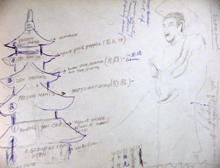Fighter accomplice