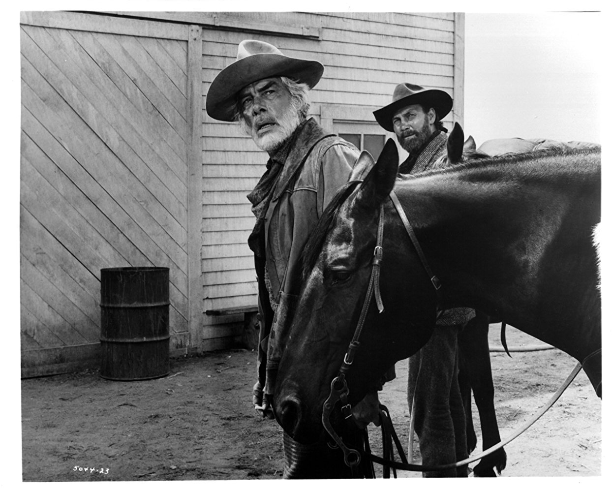 Chet Rollins