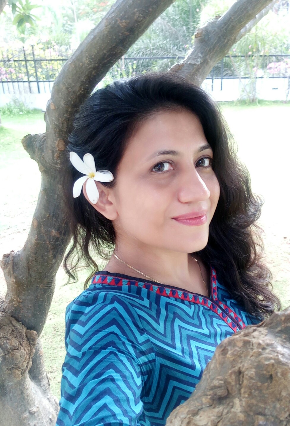 Sima Pari