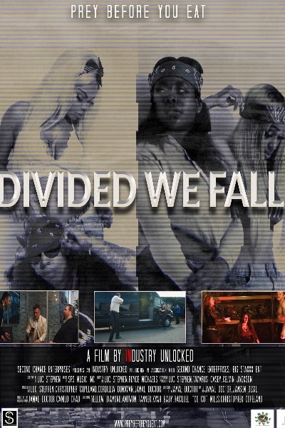Divided We Fall