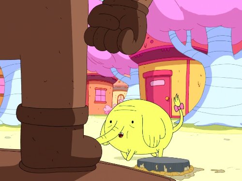 Tree Trunks