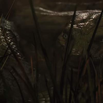 Kaa