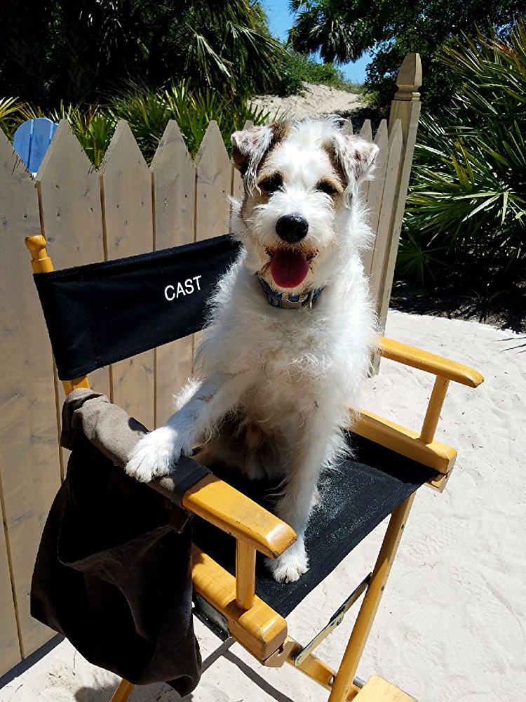 Happy the Dog