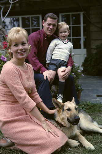 Joyce Bulifant