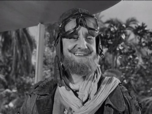Wrongway Feldman
