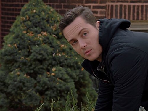 Jay Halstead