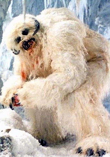 Snow Creature