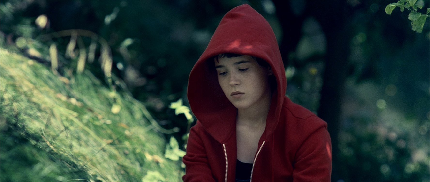 Hayley Stark