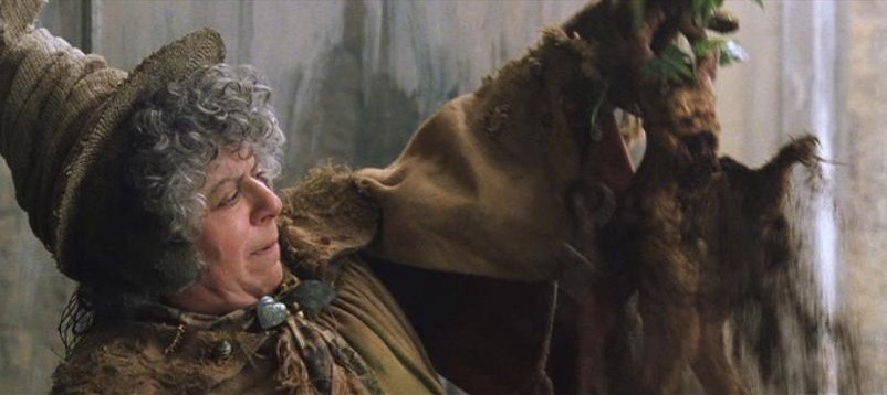 Professor Pomona Sprout
