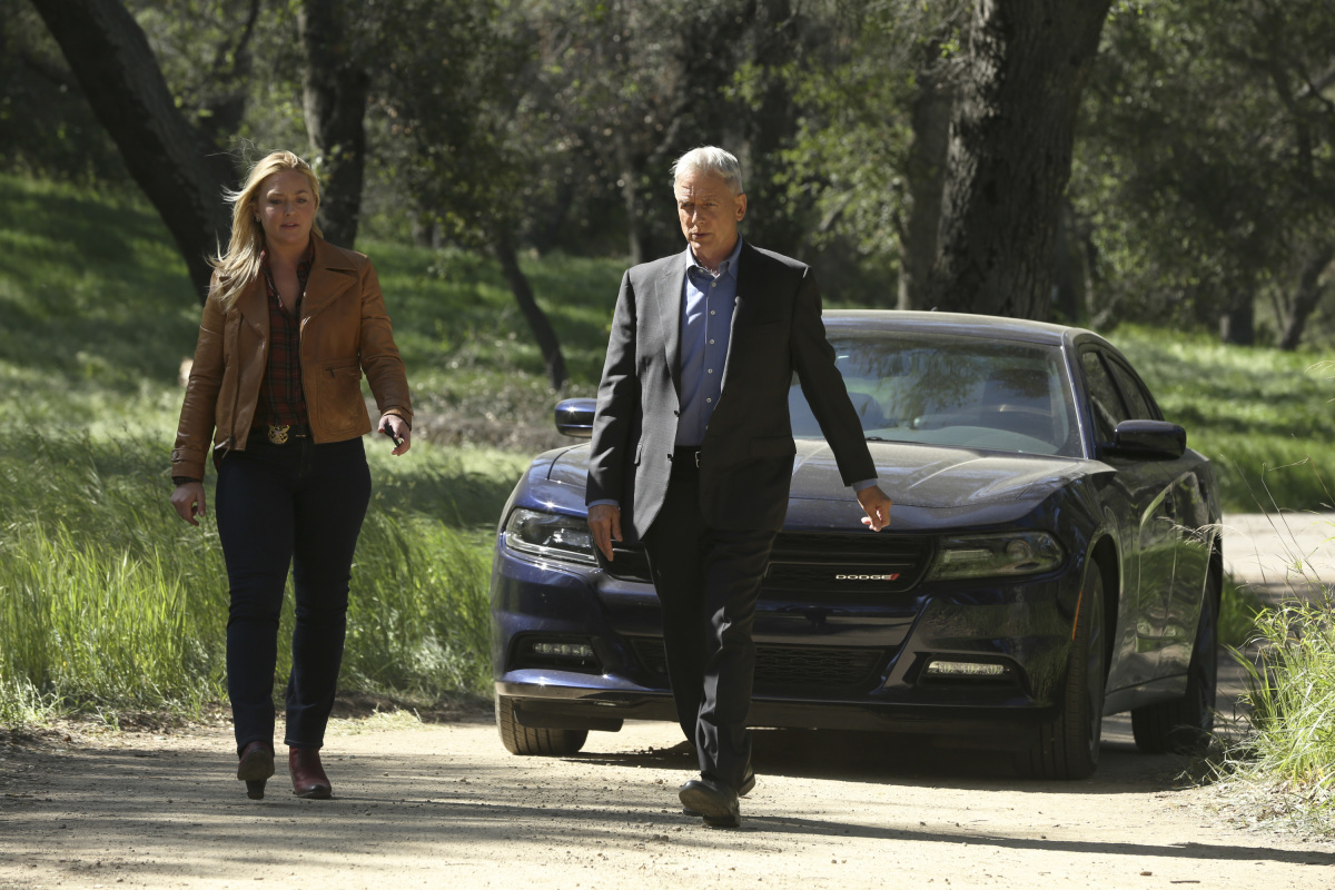 Mark Harmon
