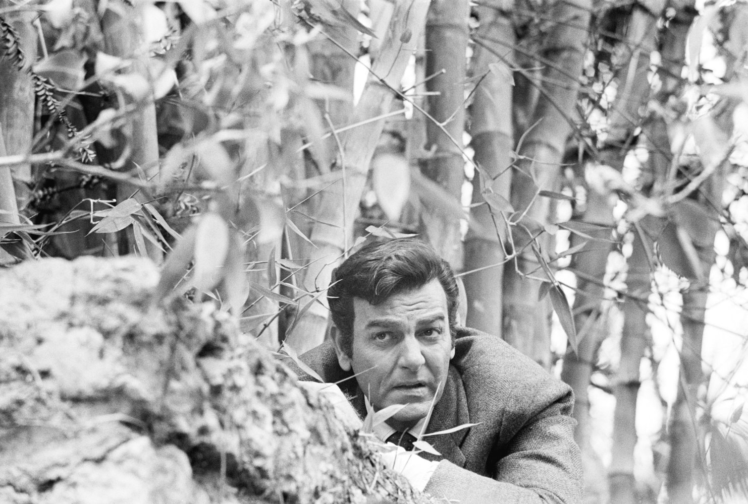 Mike Connors