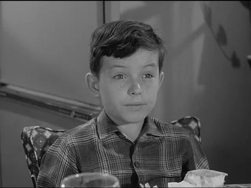 Jerry Mathers