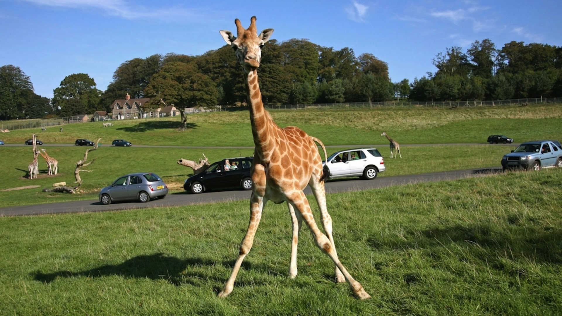 Season 23