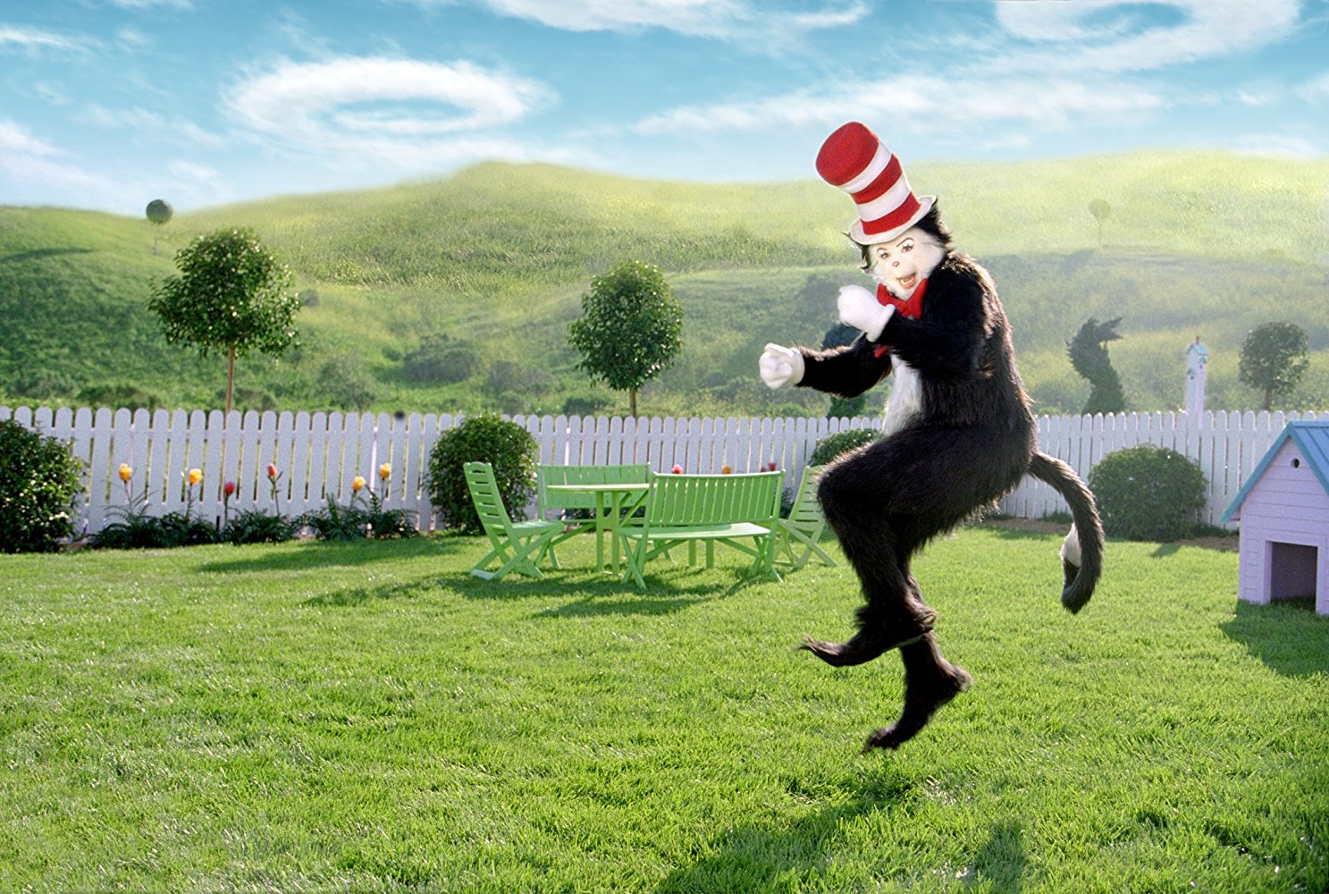 The Cat in the Hat