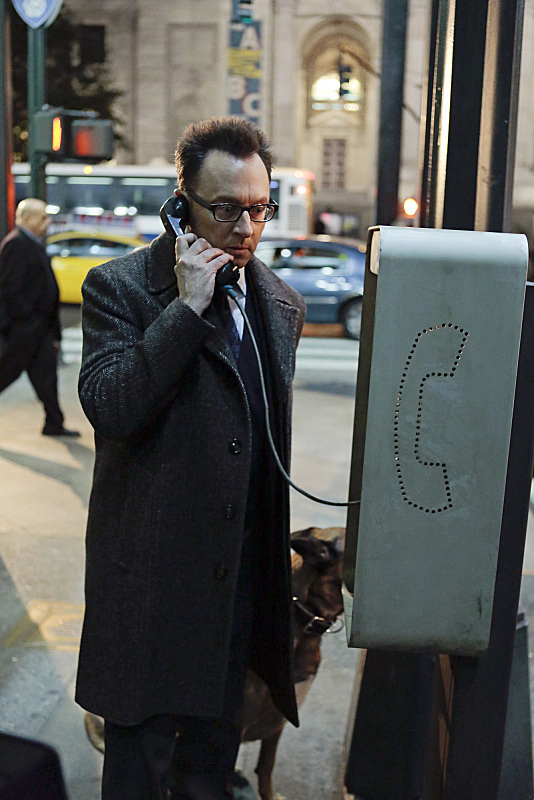 Harold Finch