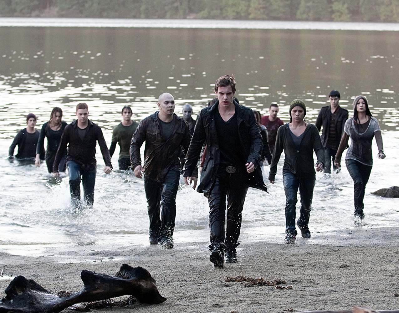 Riley (Twilight character)