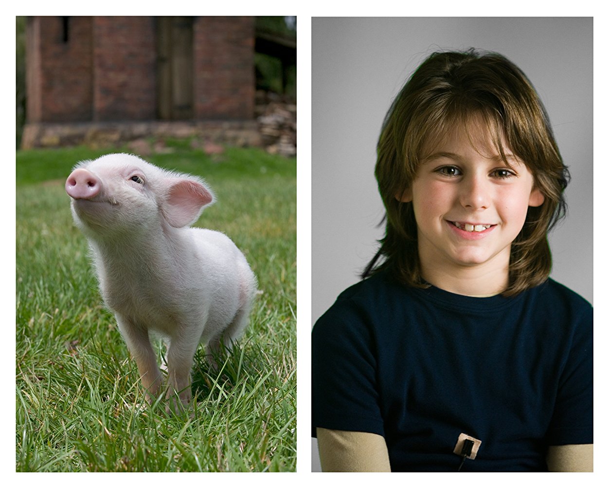 Wilbur