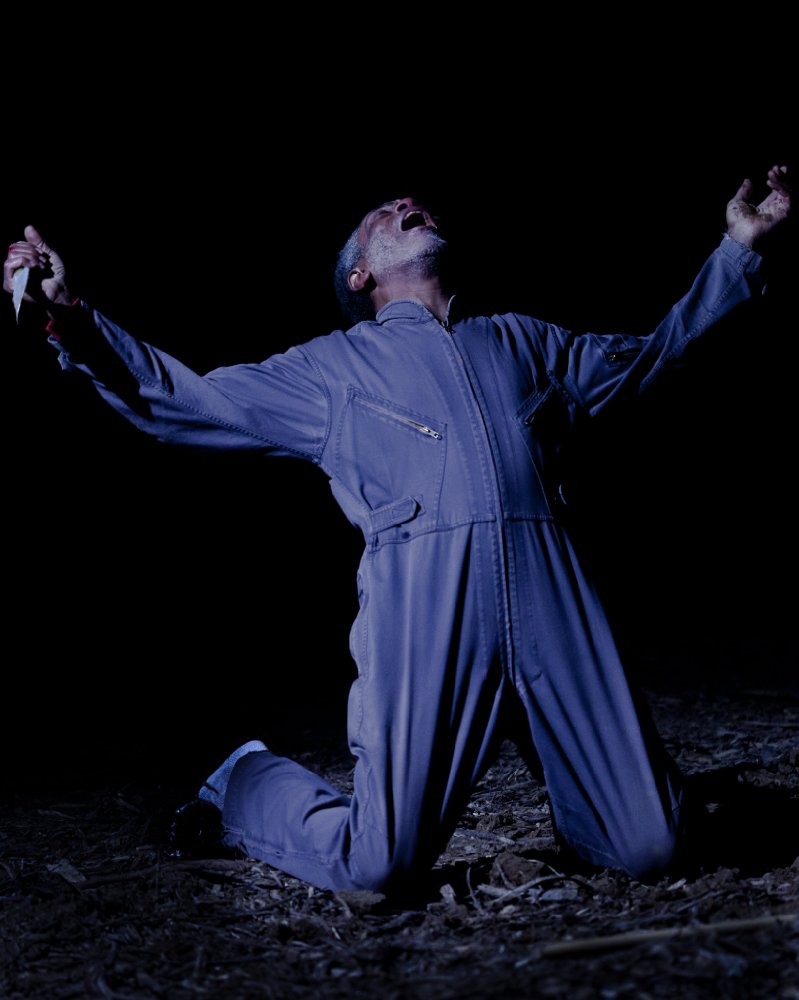André De Shields