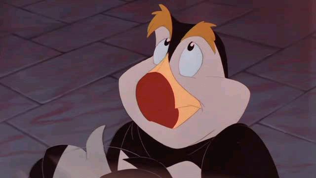 Puffin