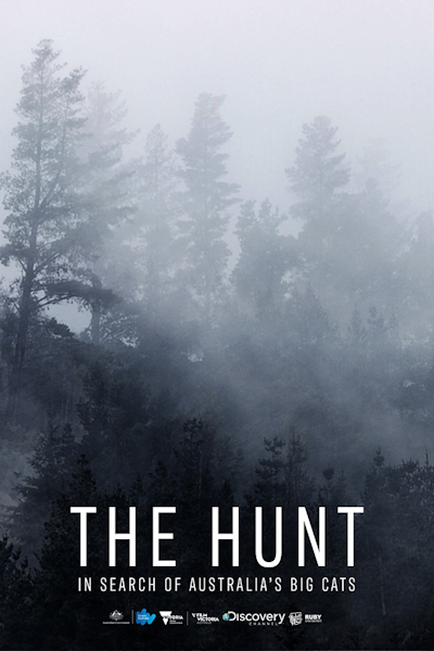 The Hunt: In Search of Australias Big Cats
