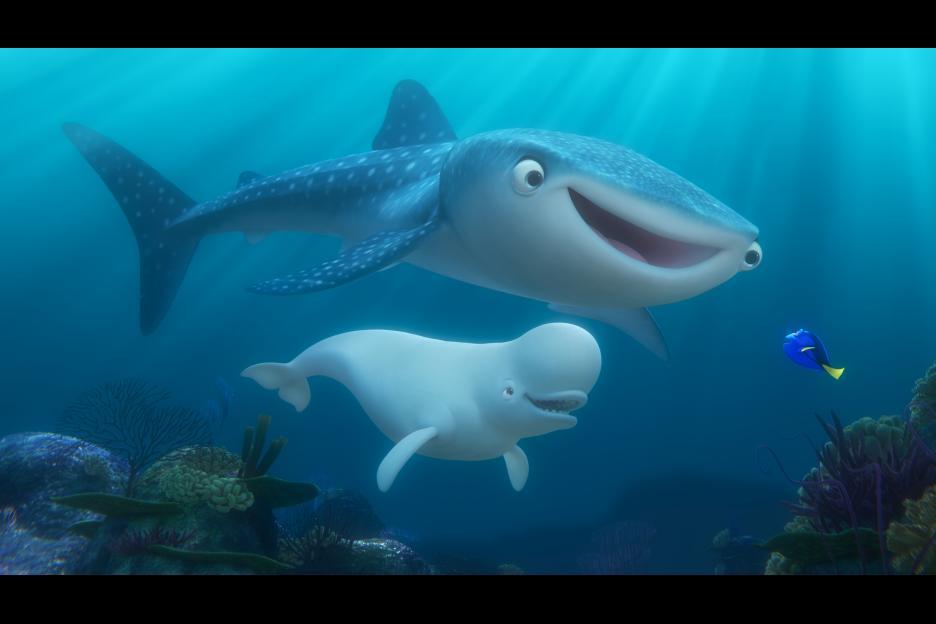 Dory