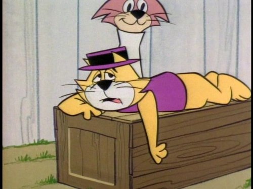 Top Cat