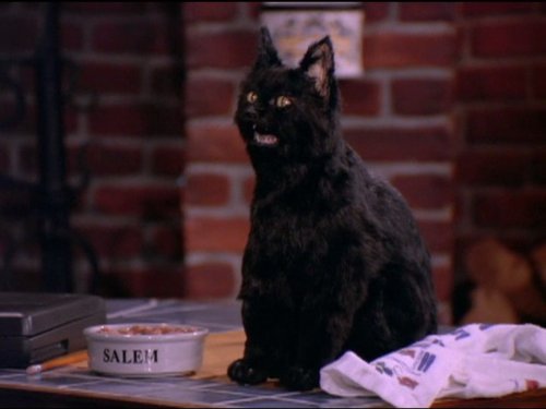 Salem Saberhagen