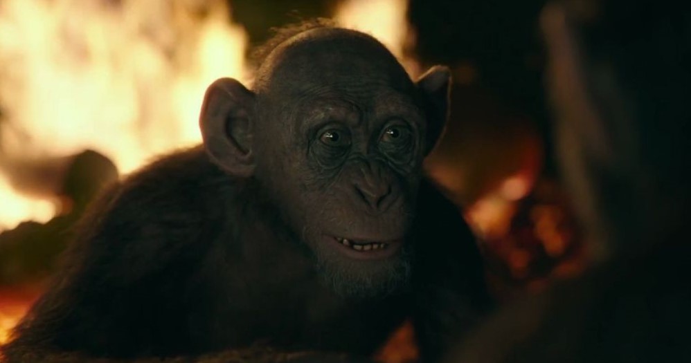Bad Ape