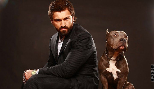 Andrei Arlovski