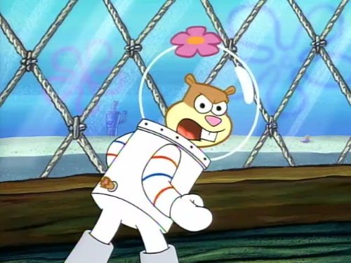 Sandy Cheeks