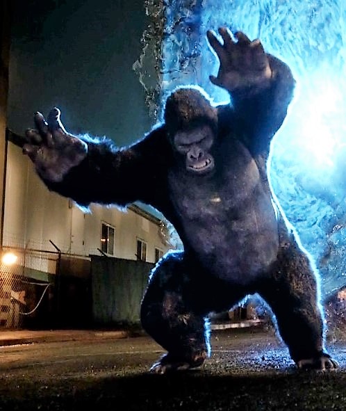 Gorilla Grodd